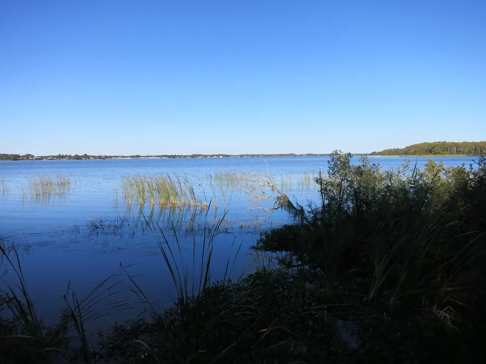 Lake Tarpon from John Chestnut Park